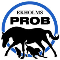 Ny Logo EkholmsPROB_blå 3cm bred.jpg