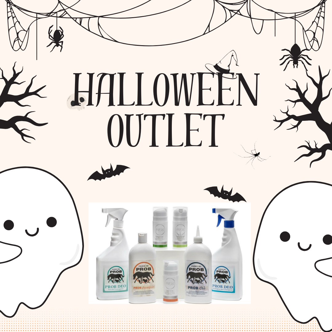 hallowen outlet